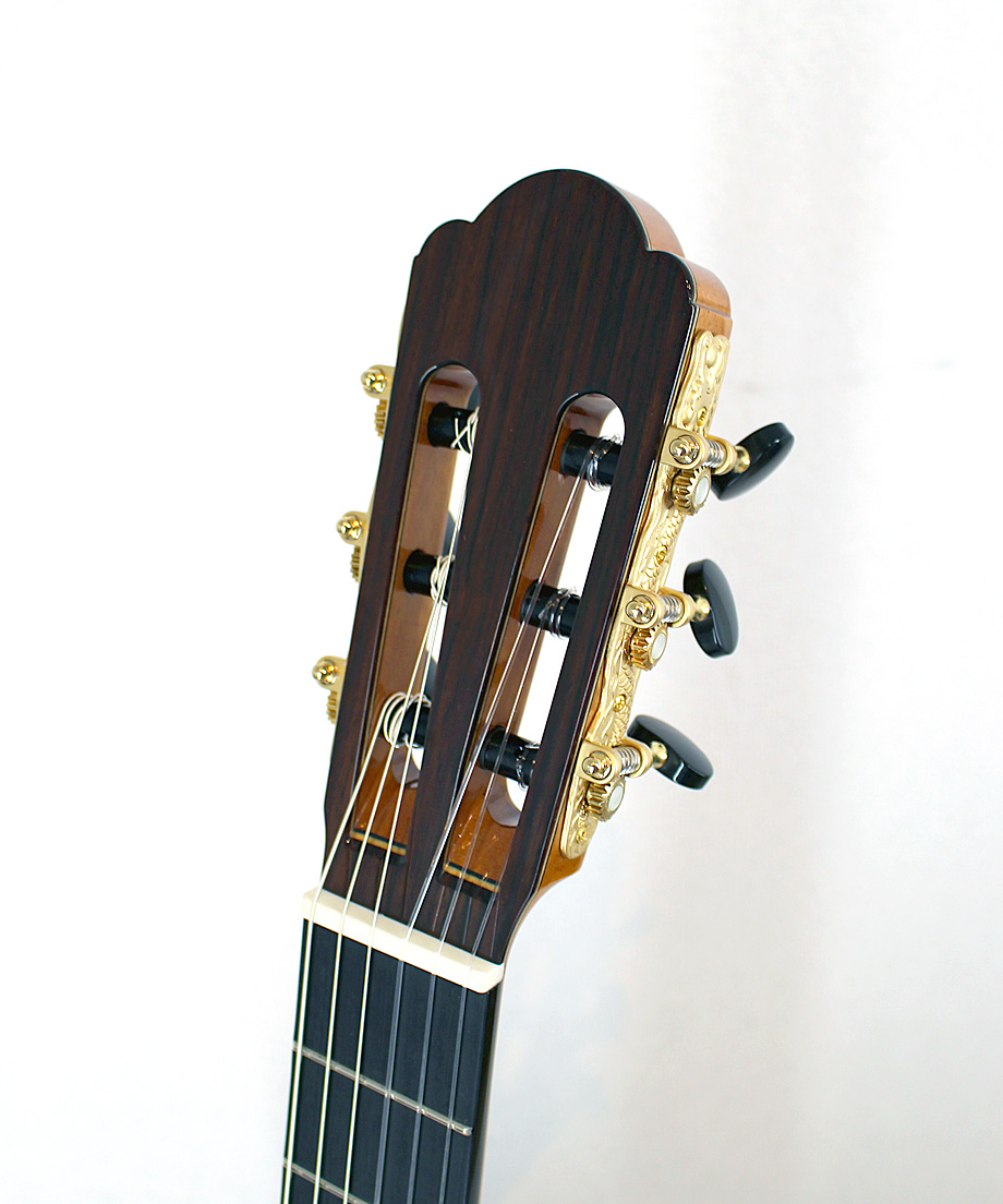 Yulong Guo製作のダブルトップギター