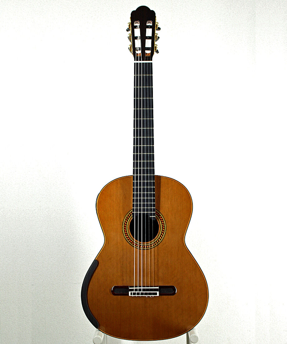 Yulong Guo製作のダブルトップギター