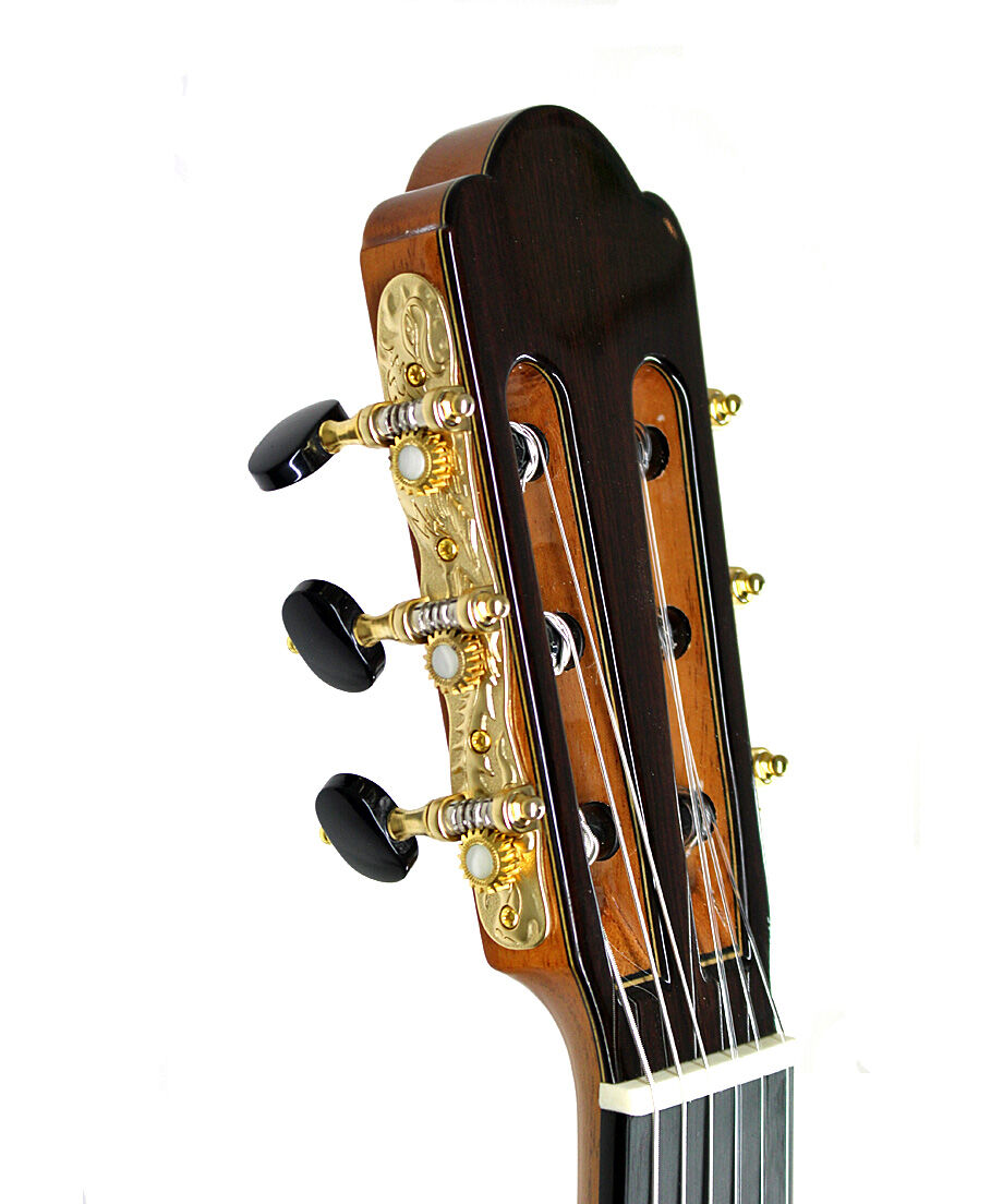 Yulong Guo製作のダブルトップギター